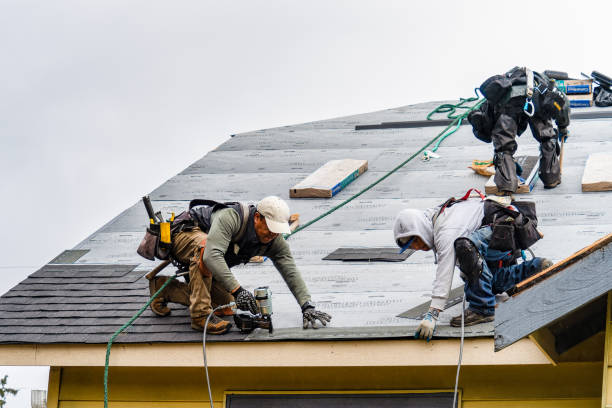 Professional Roofing technician working in Belmont, MI